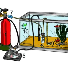 Akvarium med kolsyra-system för att reglera ph-värdet. En röd gasflaska (1) kopplad till en regulator (2, 3) och en timer (5). Kolsyran leds via slangar till akvariet (8, 9, 10).