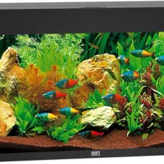 Ett akvarium på 240 liter med färgglada fiskar som simmar bland frodig grönska och stenar.