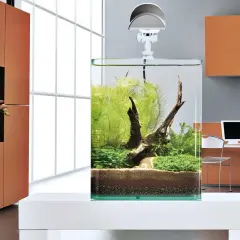 Ett stilrent litet akvarium med frodig grönska och drivved, placerat på ett vitt bord i ett modernt rum.