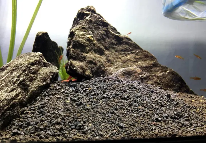 Akvarium med stenar och grus till akvarium. Små fiskar simmar i bakgrunden.