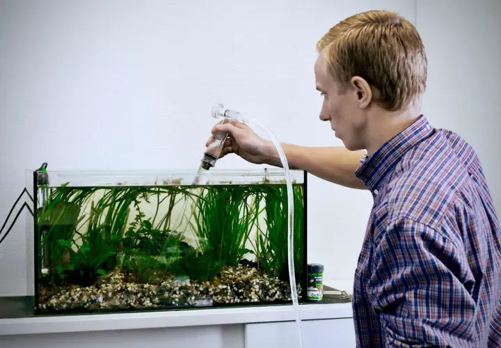 Ung man mäter vattenvärden i akvarium, kontrollerar ammoniak och ph-nivåer för att säkerställa en hälsosam miljö för fiskarna.