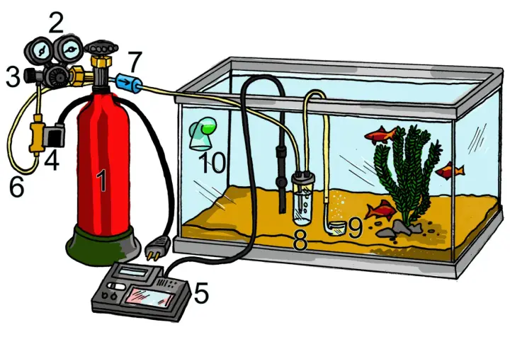 Akvarium med kolsyra-system för att reglera ph-värdet. En röd gasflaska (1) kopplad till en regulator (2, 3) och en timer (5). Kolsyran leds via slangar till akvariet (8, 9, 10).