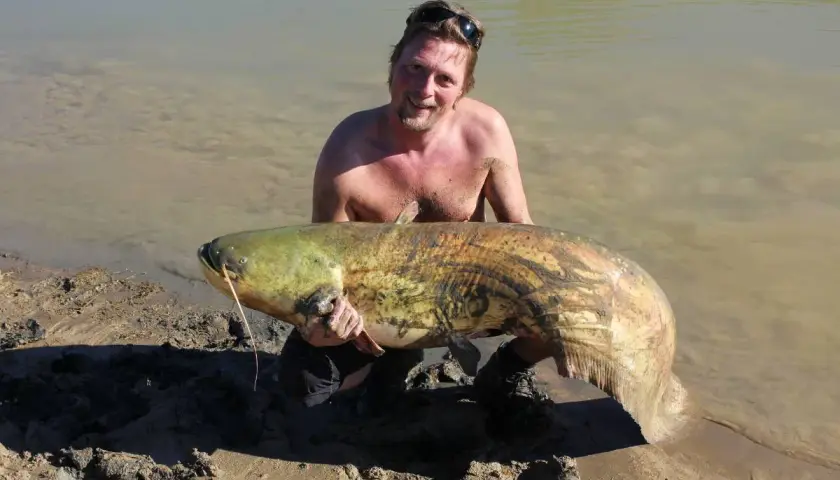 Glad fiskare stoltserar med en enorm mal fisk vid strandkanten.