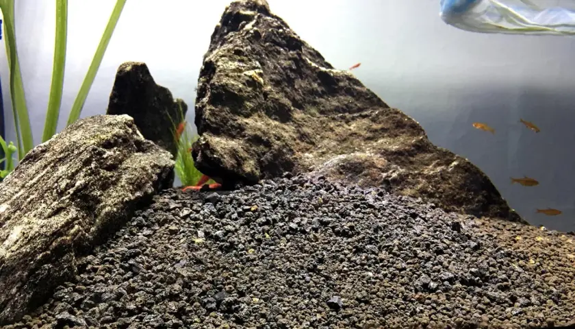 Akvarium med stenar och grus till akvarium. Små fiskar simmar i bakgrunden.