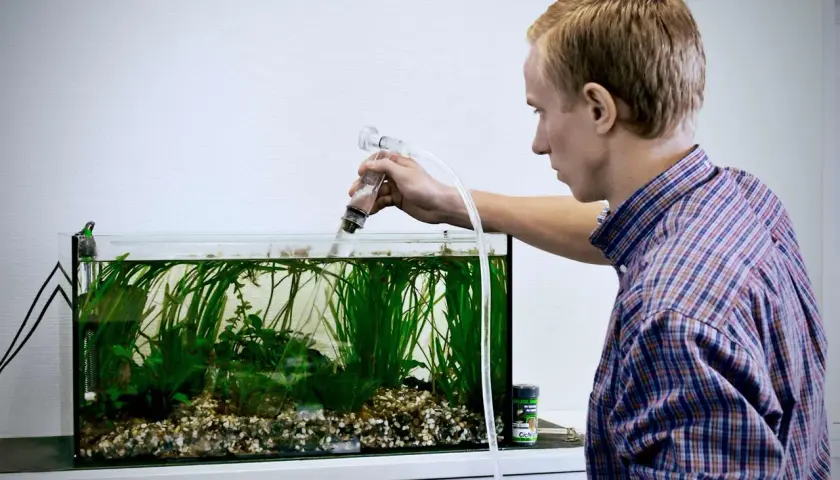 Ung man mäter vattenvärden i akvarium, kontrollerar ammoniak och ph-nivåer för att säkerställa en hälsosam miljö för fiskarna.