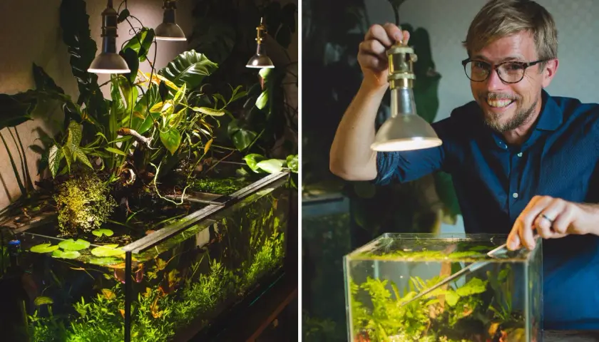 Man med glasögon justerar en frodig akvariumdesign med växter och vattenväxter under lampor.