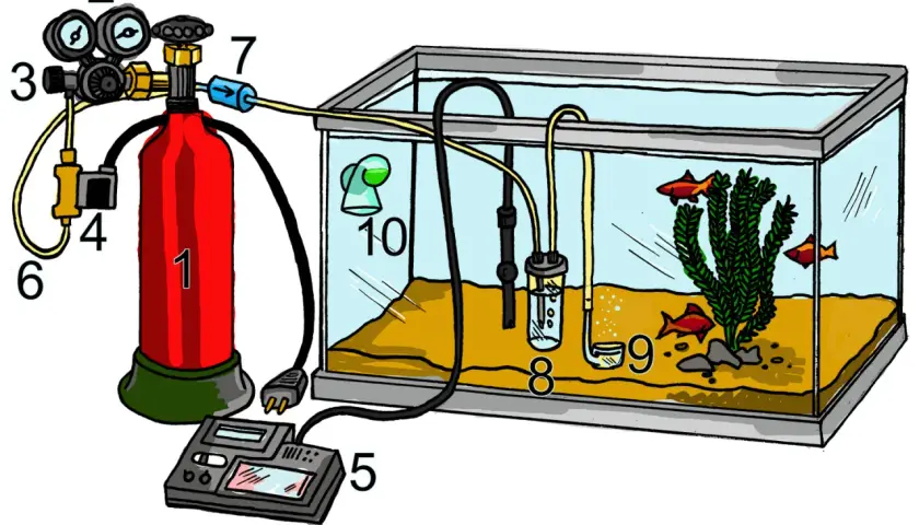Akvarium med kolsyra-system för att reglera ph-värdet. En röd gasflaska (1) kopplad till en regulator (2, 3) och en timer (5). Kolsyran leds via slangar till akvariet (8, 9, 10).