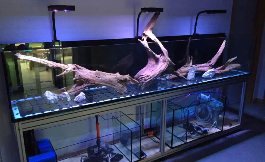 Akrylkar – Bättre än glas? Välj rätt akvarium!