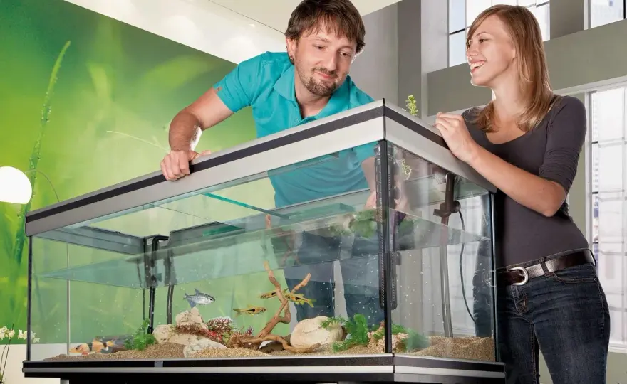 Flytväxter akvarium - Välj rätt & undvik misstagen