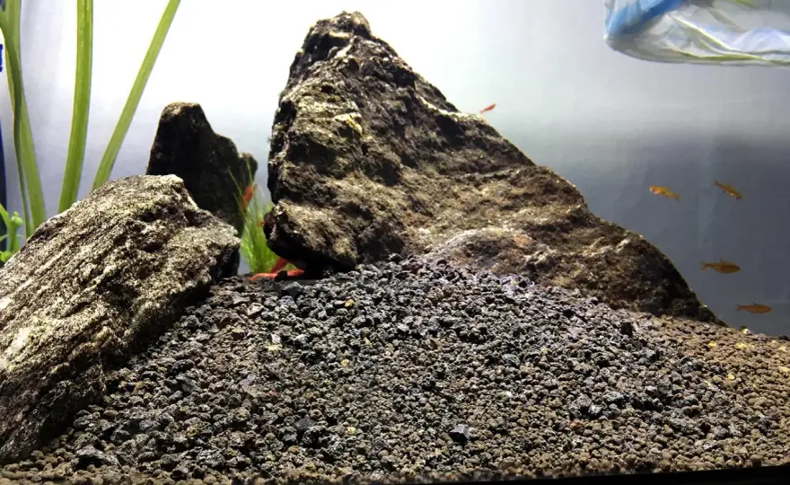 Akvariegrus och sand - Välj rätt bottenmaterial för ditt akvarium