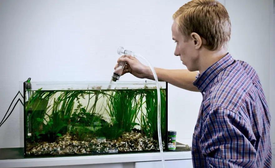 Ammoniak & pH i akvariet - Förstå sambandet och agera rätt