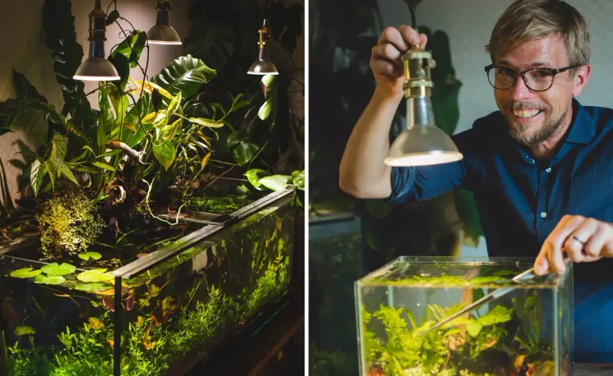 Akvariedesign - Skapa ett drömakvarium som håller