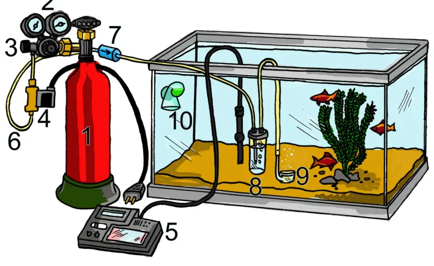 Kolsyra, CO2 & pH i akvariet - Förstå sambandet!