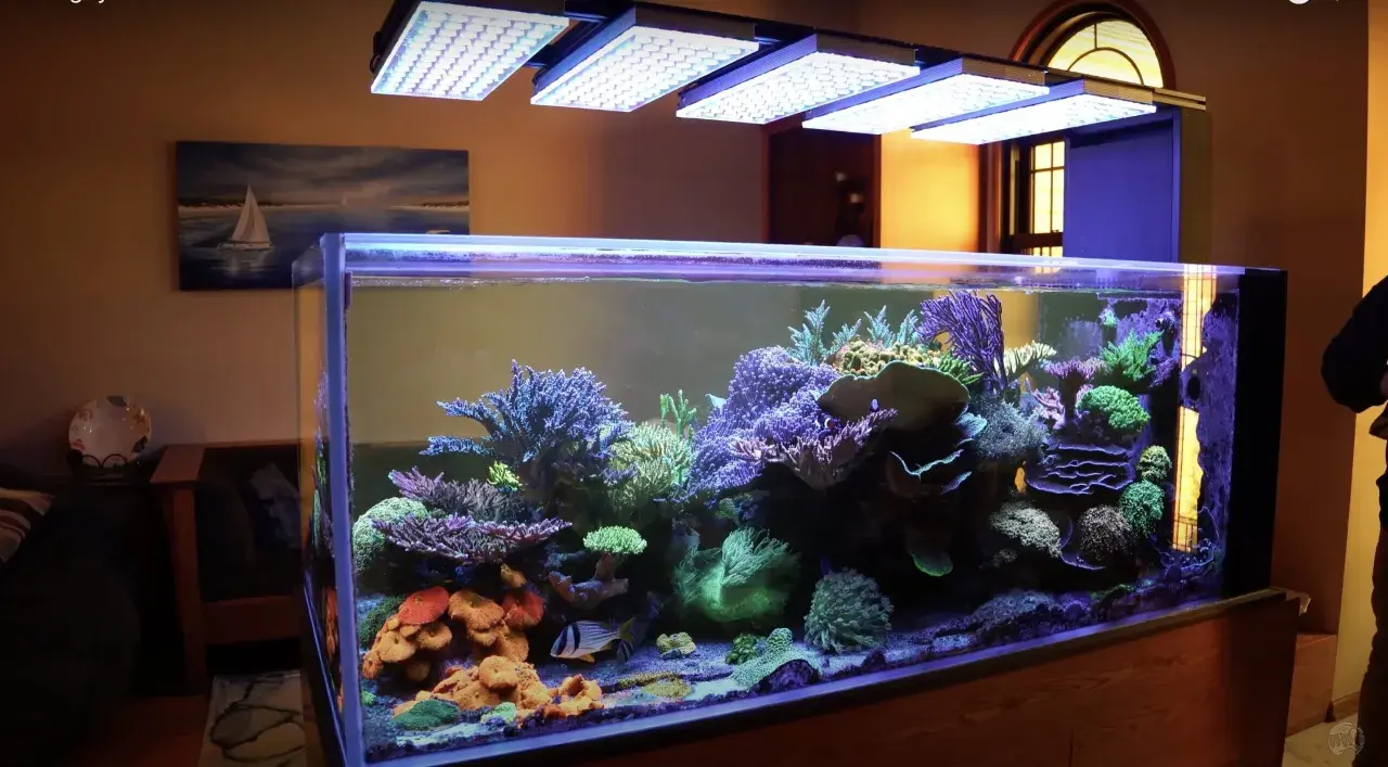 Ett 8 kantigt akvarium med färgstarka koraller och fiskar, belyst av LED-lampor.