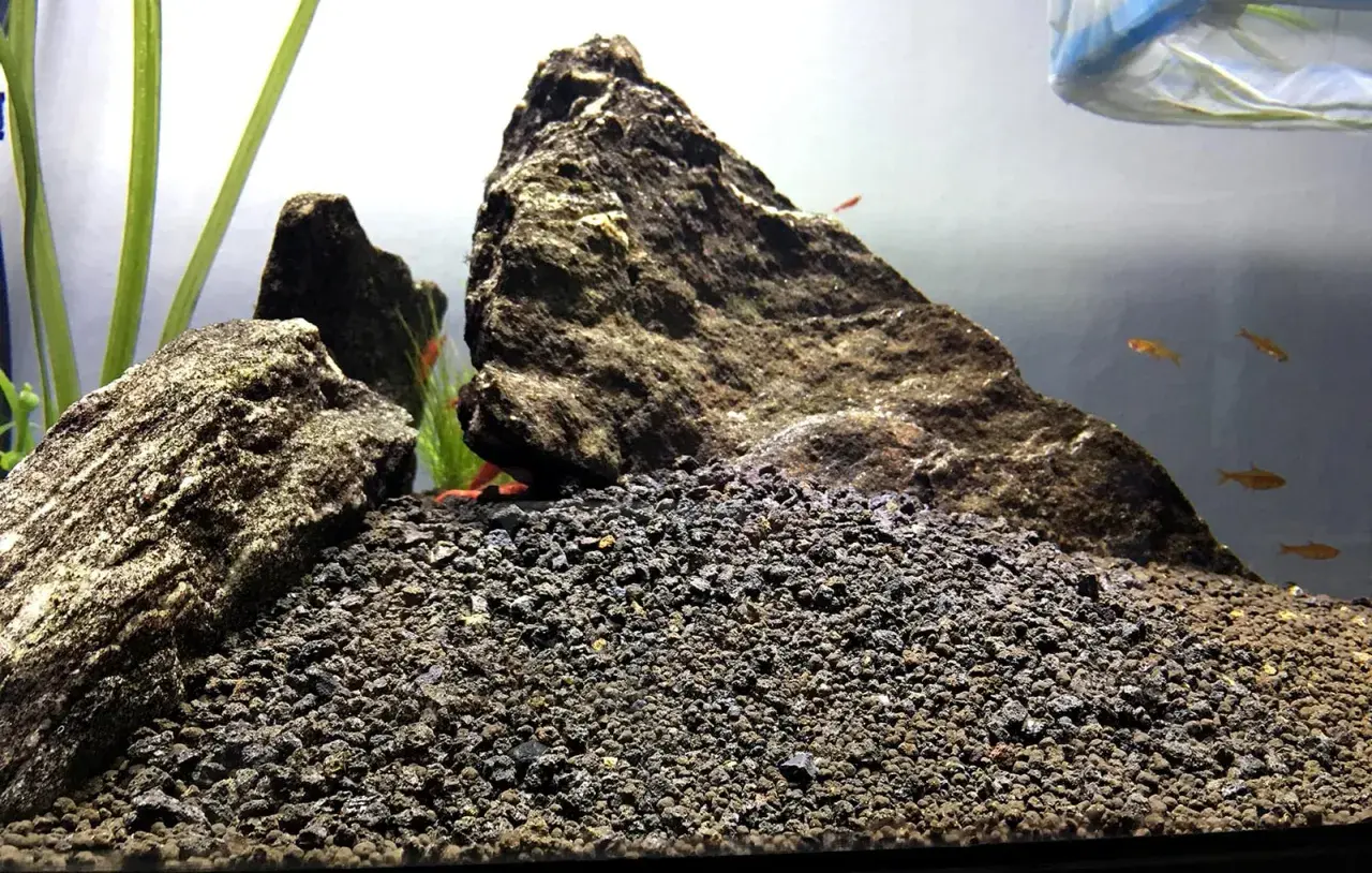 Akvarium med stenar och grus till akvarium. Små fiskar simmar i bakgrunden.