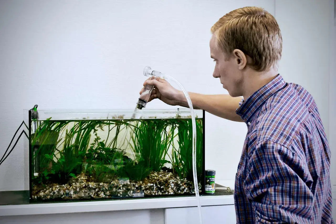 Ung man mäter vattenvärden i akvarium, kontrollerar ammoniak och ph-nivåer för att säkerställa en hälsosam miljö för fiskarna.