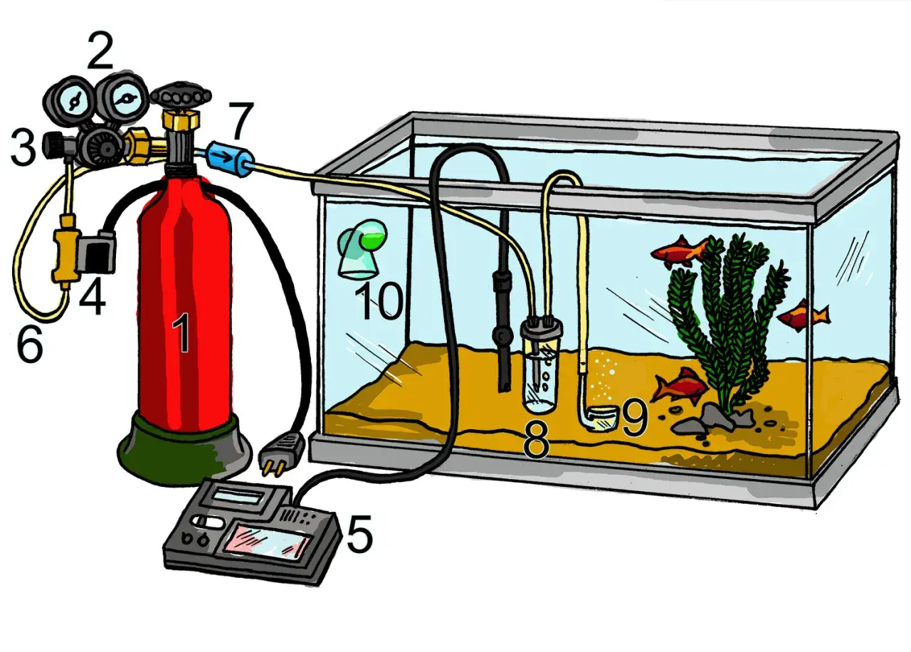 Akvarium med kolsyra-system för att reglera ph-värdet. En röd gasflaska (1) kopplad till en regulator (2, 3) och en timer (5). Kolsyran leds via slangar till akvariet (8, 9, 10).