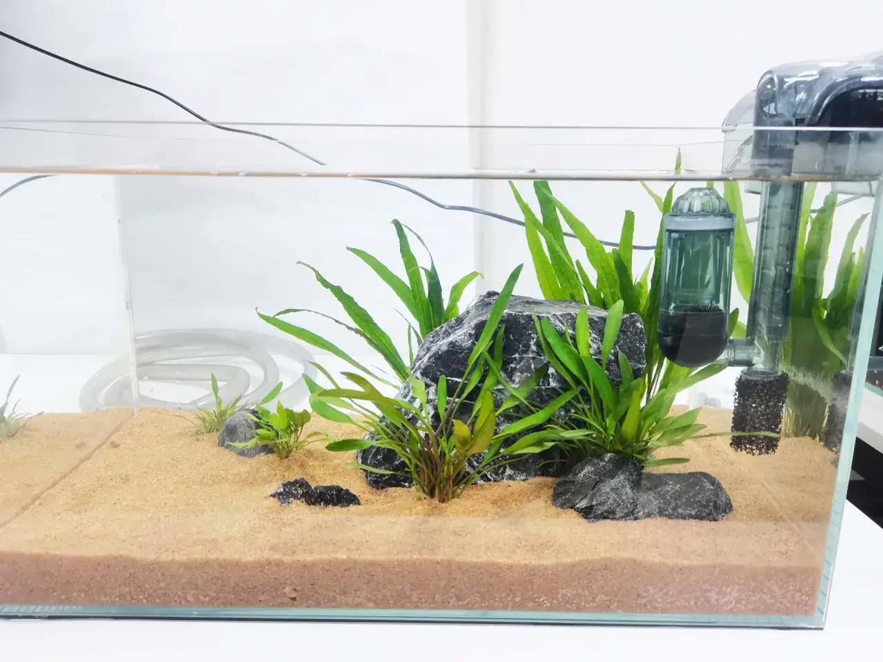 Ett tomt akvarium med sand, stenar och v&auml;xter. En filterpump &auml;r monterad. Perfekt f&ouml;r att bygga akvarium.