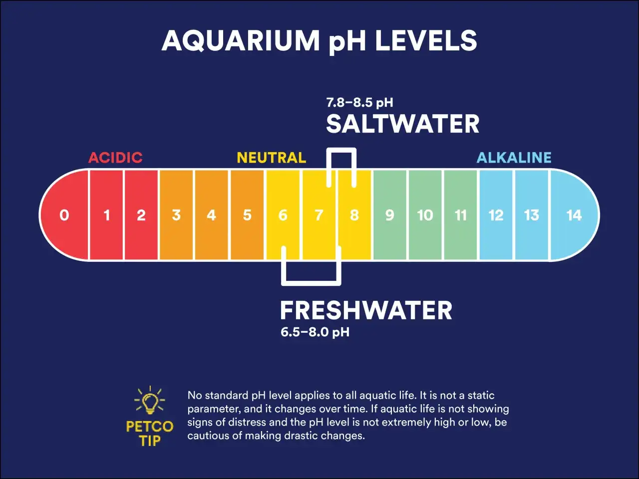 Grafik som visar pH-skalan f&ouml;r akvarier, fr&aring;n surt till alkaliskt. F&ouml;rst&aring;else f&ouml;r vattenkemi &auml;r avg&ouml;rande f&ouml;r friska fiskar.