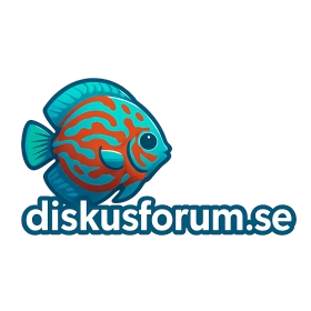 diskusforum.se